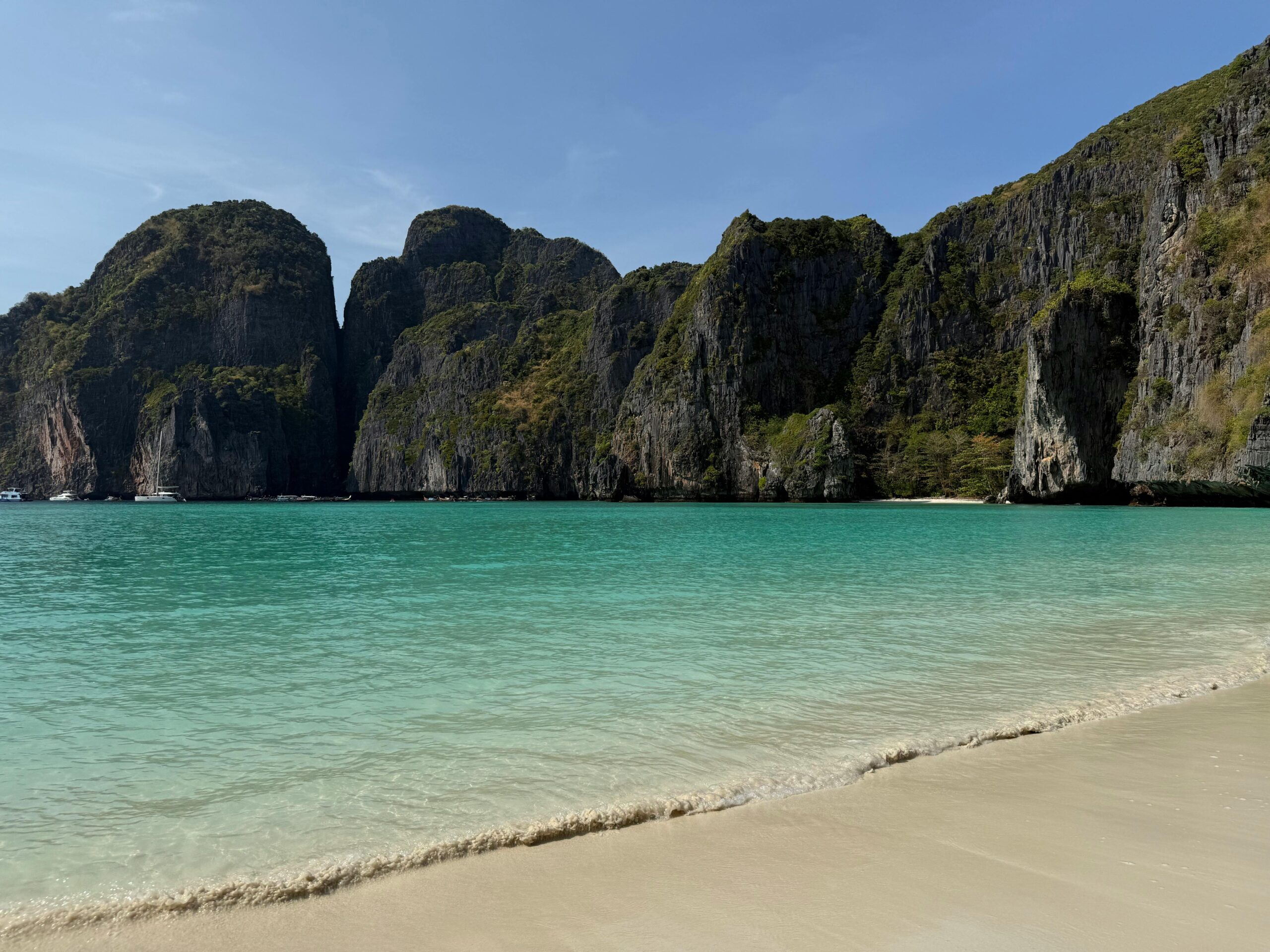 Maya Bay shark spot