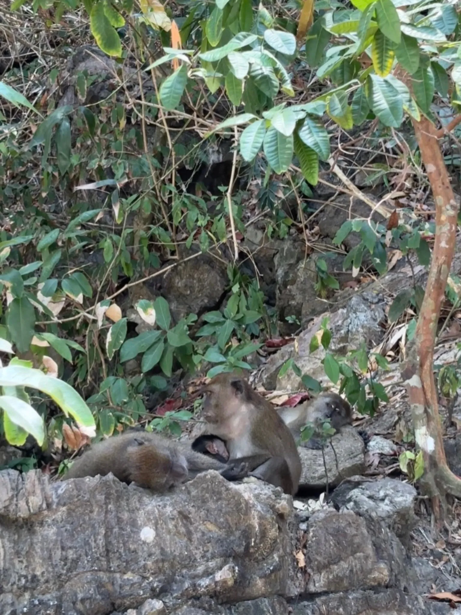 Monkey Beach turquoise water